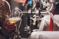 Brewer man and apron pours beer in a glass for quality control, standing behind the counter in a brewery. Royalty Free Stock Photo