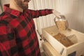 Brewer pouring barley seeds into grain mill at his brewery