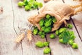 Brewery. Hope cones and wheat ears closeup. Beer production ingredients on wooden cracked table Royalty Free Stock Photo