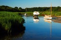 Brewster Creek Park, Cape Cod Royalty Free Stock Photo