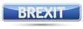 BREXIT - Abstract beautiful button with text.