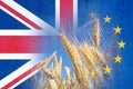 Brexit concept. A field of wheat With the flags of the Union Jack and the E.U over layered on top Royalty Free Stock Photo