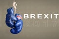 Brexit, Symbol of the Referendum UK vs EU