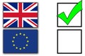 Brexit voting forms