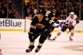 Brian Rolston Boston Bruins Royalty Free Stock Photo