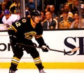 Brian Rolston Boston Bruins Royalty Free Stock Photo