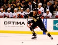Brian Rolston Boston Bruins Royalty Free Stock Photo