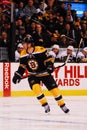 Brian Rolston Boston Bruins Royalty Free Stock Photo