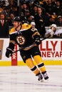 Brian Rolston Boston Bruins Royalty Free Stock Photo