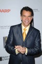 Brian Stokes Mitchell Royalty Free Stock Photo