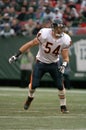 Brian Urlacher, Chicago Bears