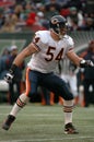 Brian Urlacher