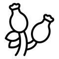 Briar fruit icon outline vector. Rosehip round seed