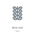 Briar leaf icon. Thin linear briar leaf outline icon isolated on white background from nature collection. Line vector sign, symbol