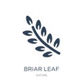 briar leaf icon in trendy design style. briar leaf icon isolated on white background. briar leaf vector icon simple and modern Royalty Free Stock Photo