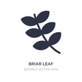 briar leaf icon on white background. Simple element illustration from Nature concept