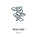 Briar leaf outline vector icon. Thin line black briar leaf icon, flat vector simple element illustration from editable nature