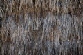 Briar reed line vertical textured grey wood background of wooden brande gray fence facade