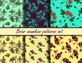 Briar seamless patterns set Royalty Free Stock Photo