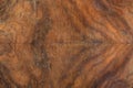 Briar wood, luxury texture background