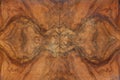 Briar wood texture background, symmetrical Royalty Free Stock Photo