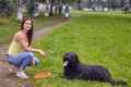 Briard has rest in park while walking.