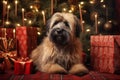 Briard puppy lies on the red carpet among Christmas presents, decorated tree in the background Royalty Free Stock Photo