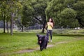 Briard and woman are walking in park. Royalty Free Stock Photo