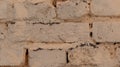 Brick background. Texture of painted bricks Royalty Free Stock Photo