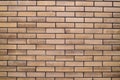 Brick Royalty Free Stock Photo