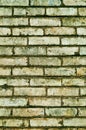 Brick background Royalty Free Stock Photo