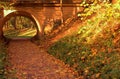 Brick bridge in the autumn forest in Russia