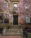 Brick building in a back bay neighborhood of Boston with spring blossoms Royalty Free Stock Photo