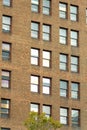 Brick building facade in late afternoon shade and visible rows of windows with reflective glass in the downtown city Royalty Free Stock Photo