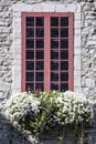 Brick building with red trim around window with purple and white flowers in front Royalty Free Stock Photo