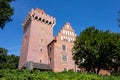 The brick building of the Royal Castle in Poznan Royalty Free Stock Photo