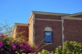 Brick building with white accent facade and visibe secret or hidden window with front or back yard trees and vines Royalty Free Stock Photo