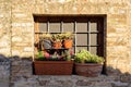 Brick building window decorated with beautiful colorful flowers in ancient pots Royalty Free Stock Photo