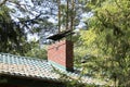 A brick chimney above the green roof of the house Royalty Free Stock Photo