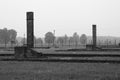 Brick chimneys from the barracks in Birkenau