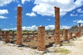 Brick columns in roman ruins