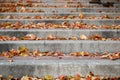 Brick And Concrete City Stairs Sidewalk With Autumn Leaves.