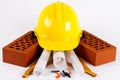 Brick and construction tools Royalty Free Stock Photo