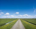 brick country road with wild yellow flowers under blue sky in holland Royalty Free Stock Photo