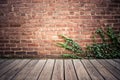 Brick exterior wall with wood floor and creepy green ivy vine.