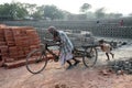 Brick field workers Royalty Free Stock Photo