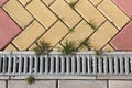 Brick floor with plant Grass, background and texture Royalty Free Stock Photo