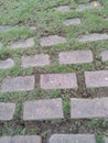Brick grass walkway green dirt
