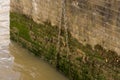 brick harbor wall Thames green algae chain