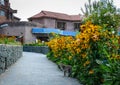 Brick house with flower garden in Srinagar, India